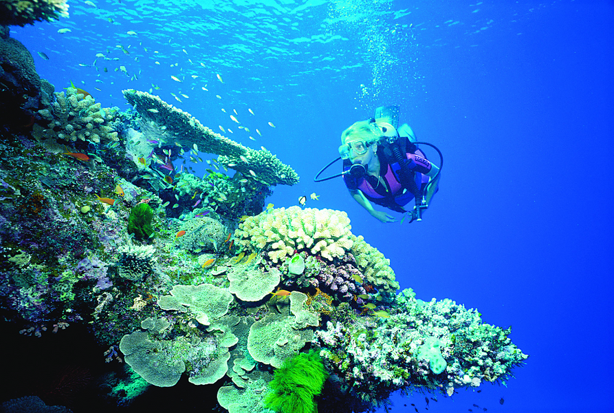 Diving With a Full Face Snorkel Mask
