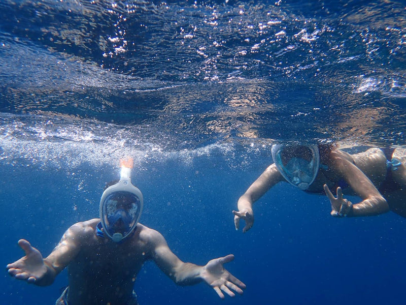 Curved vs Flat Lens Full Face Snorkel